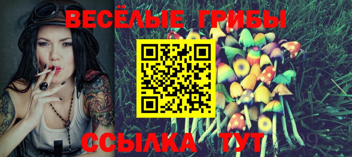 Псилоцибиновые грибы мицелий Полысаево